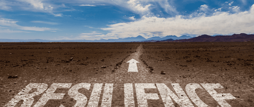 Financial Resilience