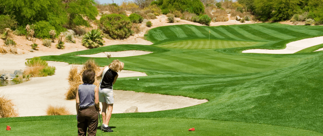 Investment Management