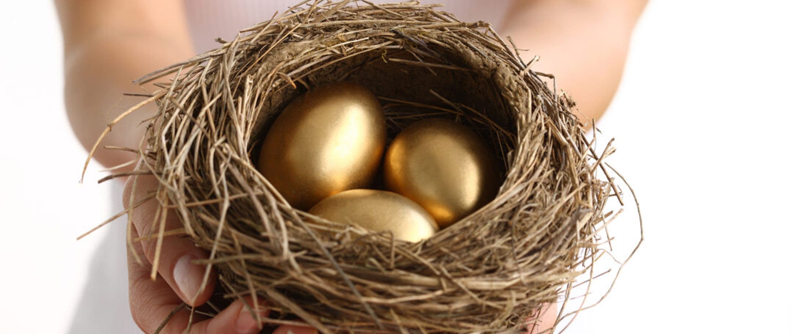 Protecting Your Nest Egg