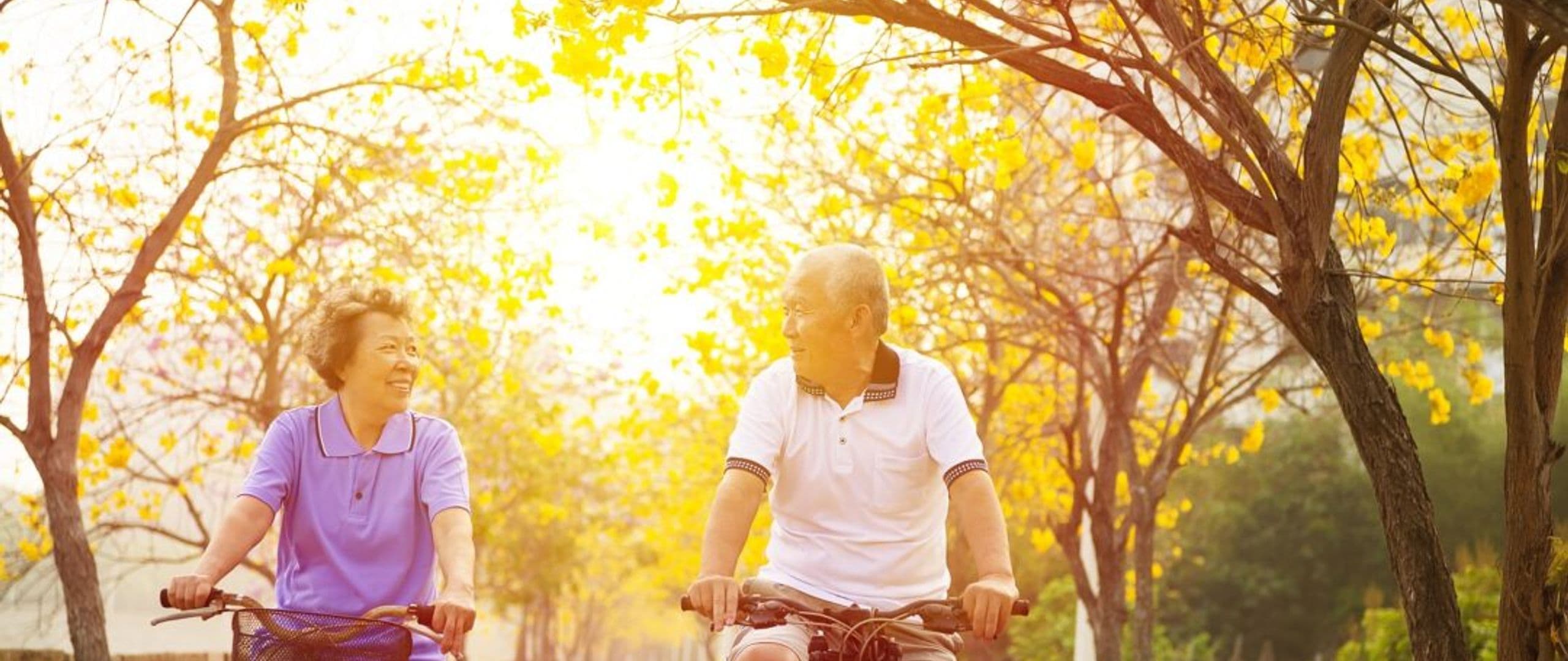 Tax-Advantaged Investing