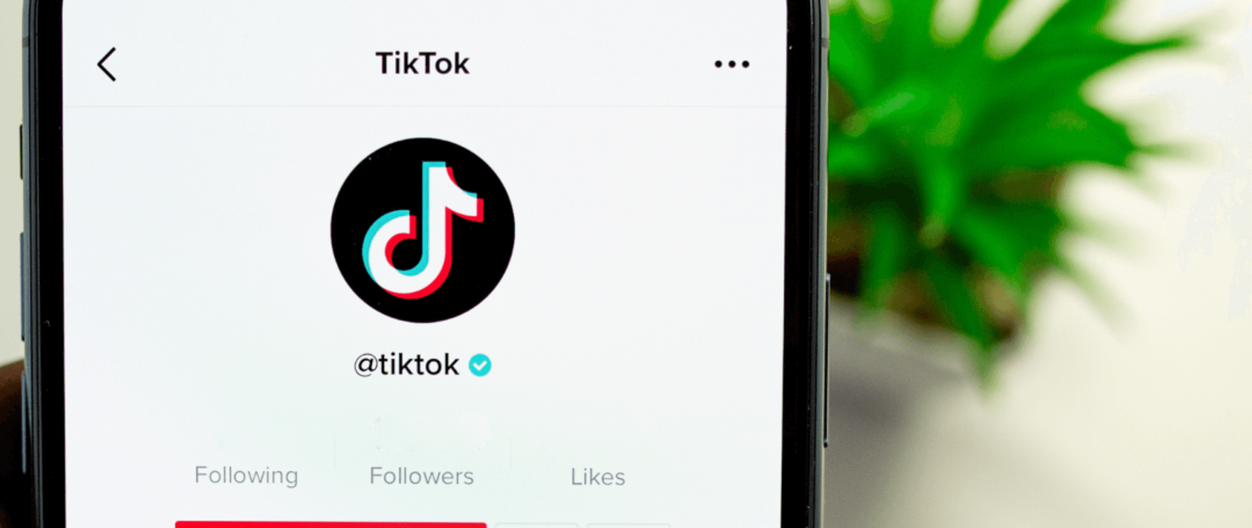 The Dangers of TikTok