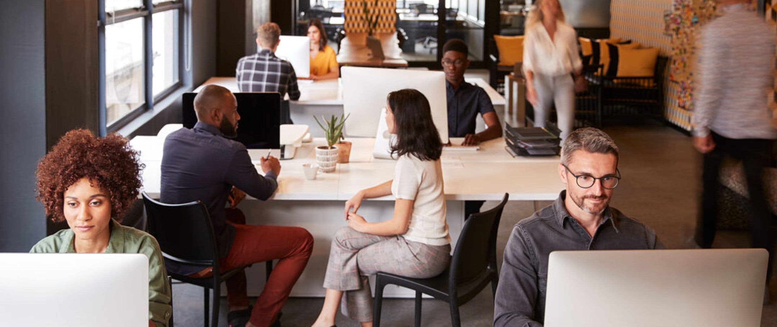 White Collar Job Seekers